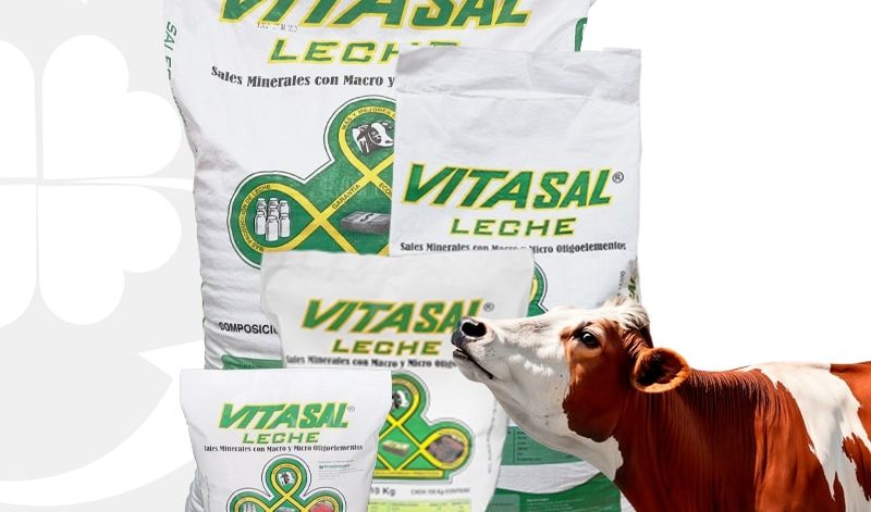 VITALSAL LECHE
