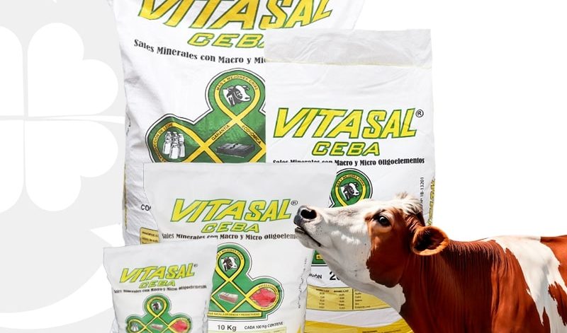 VITASAL CEBA